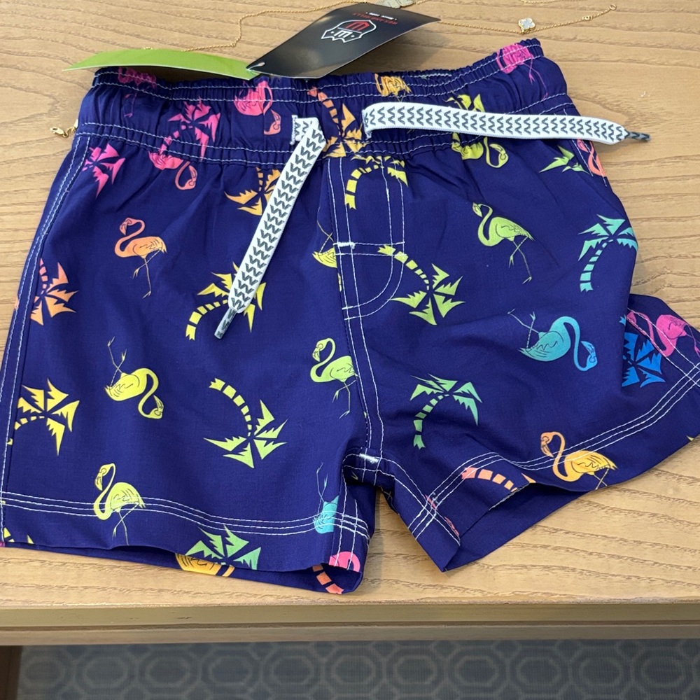 Kids Colorful Flamingo Print Shorts boys 4T